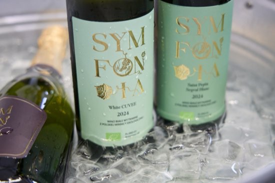 Butelki win Eco Symfonia schłodzone w wiaderku z lodem podczas festiwalu